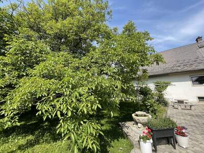 Haus kaufen in 8280 Fürstenfeld (Bild 5)