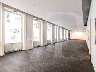 Gewerbeobjekt mieten in 1010 Wien (Bild 5)