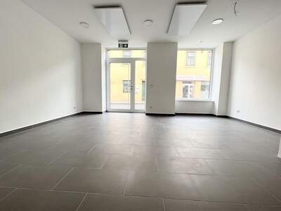 Gewerbeobjekt mieten in 1130 Wien (Bild 2)