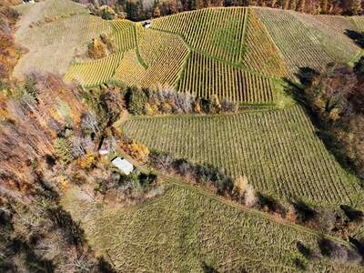 Gewerbeobjekt kaufen in 8462 Gamlitz