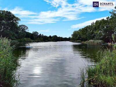 Terrassenwohnung kaufen in 1220 Wien (Bild 2)