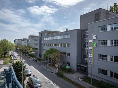 Gewerbeobjekt mieten in 1230 Wien (Bild 5)