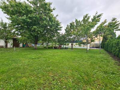 Grundstück kaufen in 2485 Wampersdorf