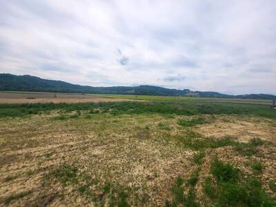 Grundstück kaufen in 8282 Gillersdorf (Bild 2)