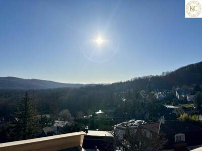 Haus kaufen in 1170 Wien