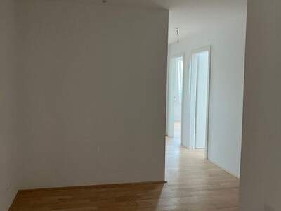 Apartment kaufen in 2000 Niederösterreich