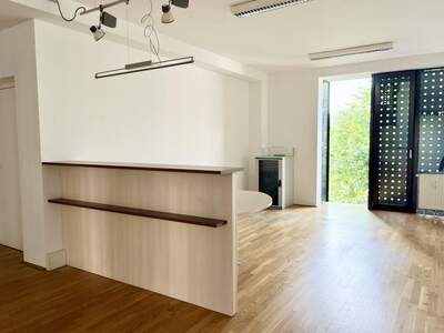 Gewerbeobjekt mieten in 4600 Wels (Bild 5)
