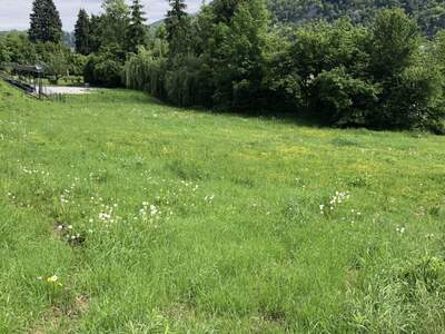 Grundstück kaufen in 8051 Graz (Bild 3)