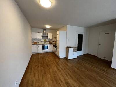 Dachgeschosswohnung mieten in 5071 Wals