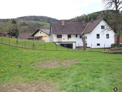 Haus kaufen in 2852 Hochneukirchen