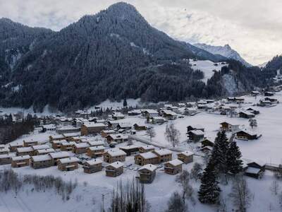 Haus provisionsfrei kaufen in 6791 Sankt Gallenkirch