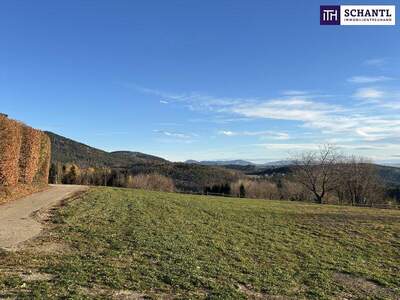 Grundstück kaufen in 8045 Weinitzen (Bild 2)