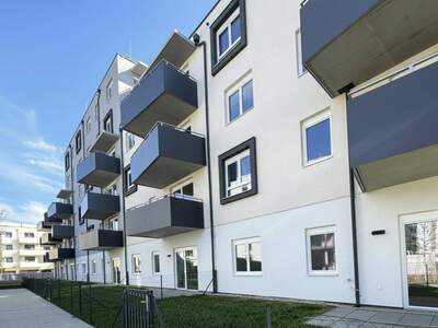 Wohnung mieten in 2700 Wiener Neustadt