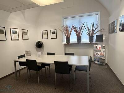 Gewerbeobjekt mieten in 5400 Hallein (Bild 4)