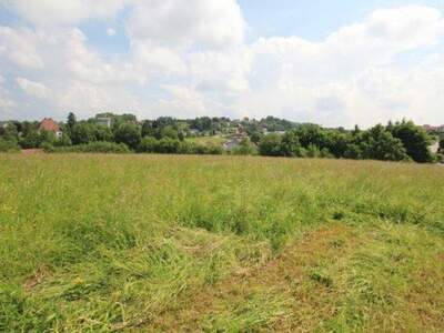 Grundstück kaufen in 4760 Raab