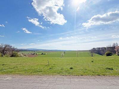 Grundstück kaufen in 3040 Neulengbach (Bild 5)