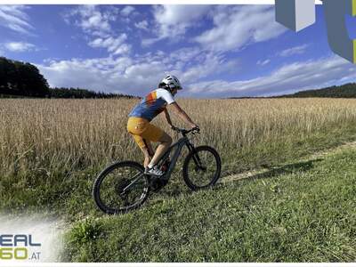 Grundstück kaufen in 4201 Gramastetten (Bild 5)