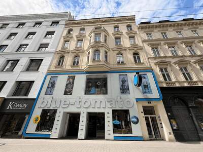 Gewerbeobjekt mieten in 1070 Wien (Bild 2)