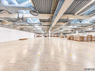 Gewerbeobjekt mieten in 2100 Korneuburg
