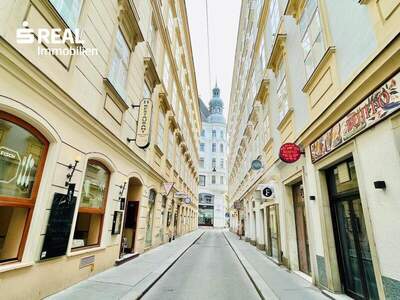 Eigentumswohnung in 1010 Wien (Bild 1)
