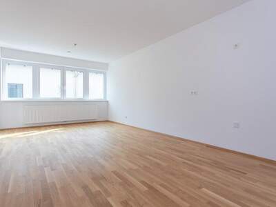 Terrassenwohnung mieten in 3264 Gresten (Bild 2)