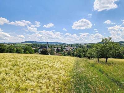 Wohnung mit Balkon kaufen in 4742 Pram (Bild 5)