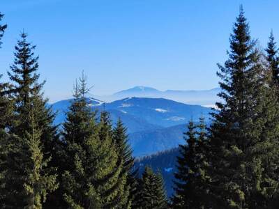 Wohnung kaufen in 9571 Sirnitz (Bild 3)