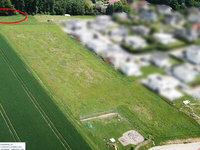 Grundstück kaufen in 4223 Ruhstetten (Bild 1)