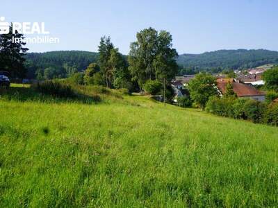 Grundstück kaufen in 3962 Heinrichs (Bild 1)