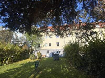 Wohnung mieten in 3500 Krems