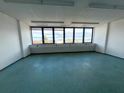 Büro / Praxis mieten in 2351 Wr. Neudorf (Bild 2)