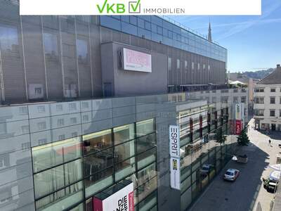 Wohnung mieten in 4020 Linz (Bild 2)