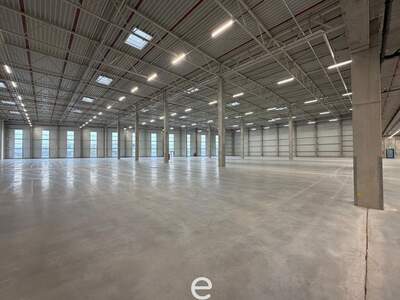 Gewerbeobjekt mieten in 4470 Enns (Bild 4)