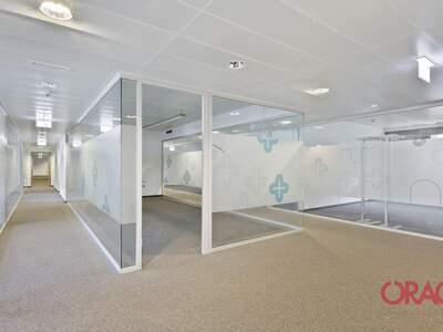 Gewerbeobjekt mieten in 1020 Wien (Bild 4)