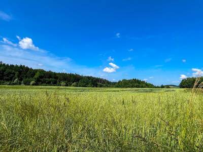Gewerbeobjekt kaufen in 4600 Wels