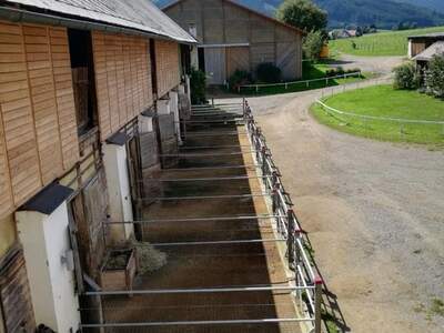 Immobilie mieten in 8732 Seckau (Bild 1)