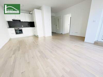 Terrassenwohnung mieten in 1200 Wien (Bild 3)