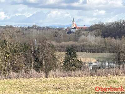 Grundstück kaufen in 4982 Obernberg
