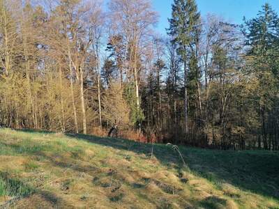 Haus kaufen in 8505 Sankt Nikolai (Bild 5)