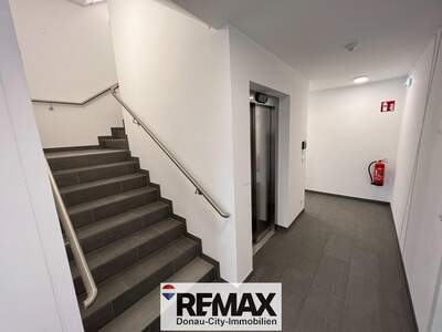 Wohnung kaufen in 1230 Wien (Bild 4)