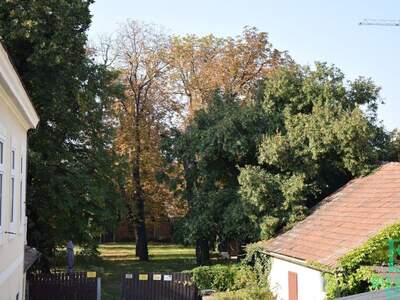 Grundstück kaufen in 1230 Wien (Bild 3)