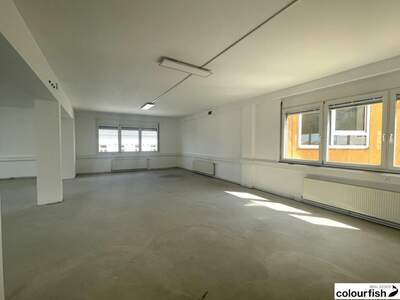 Gewerbeobjekt mieten in 1100 Wien (Bild 3)