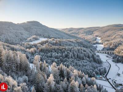 Terrassenwohnung kaufen in 2680 Semmering (Bild 5)