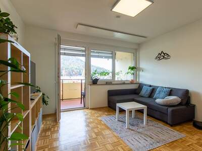 Wohnung mieten in 9020 Klagenfurt (Bild 4)