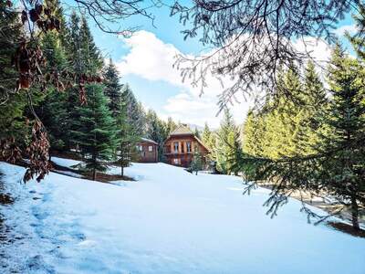 Grundstück kaufen in 9462 Bad St. Leonhard