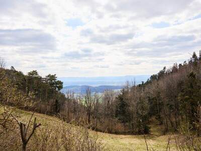 Gastronomie / Restaurant kaufen in 2724 Hohe Wand (Bild 4)