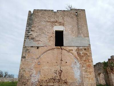 Haus mit Garten kaufen (Bild 4)
