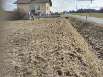 Mietwohnung in 2095 Drosendorf Stadt (Bild 2)