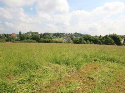 Grundstück kaufen in 4760 Raab