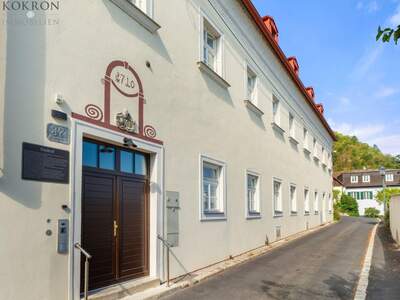 Altbauwohnung kaufen in 1190 Wien (Bild 5)